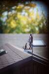 hotel_img